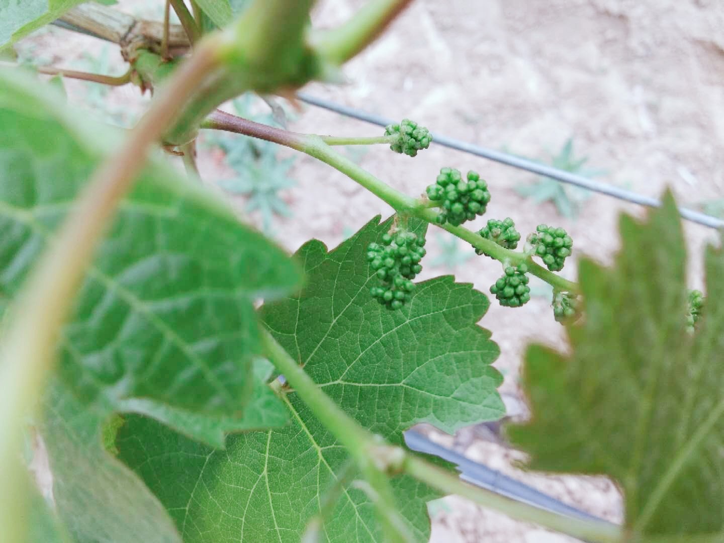 15710185687124.jpg 2.jpg