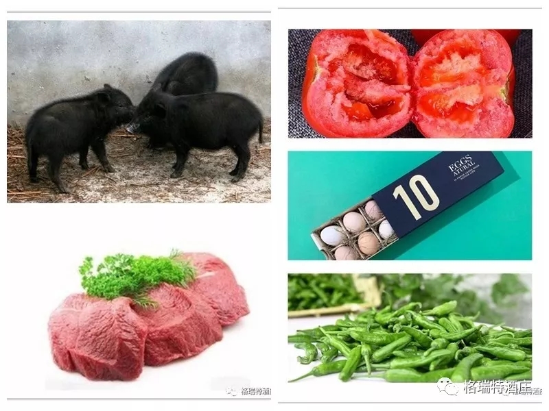 15710190807753.jpg 640 (1).webp (3).jpg