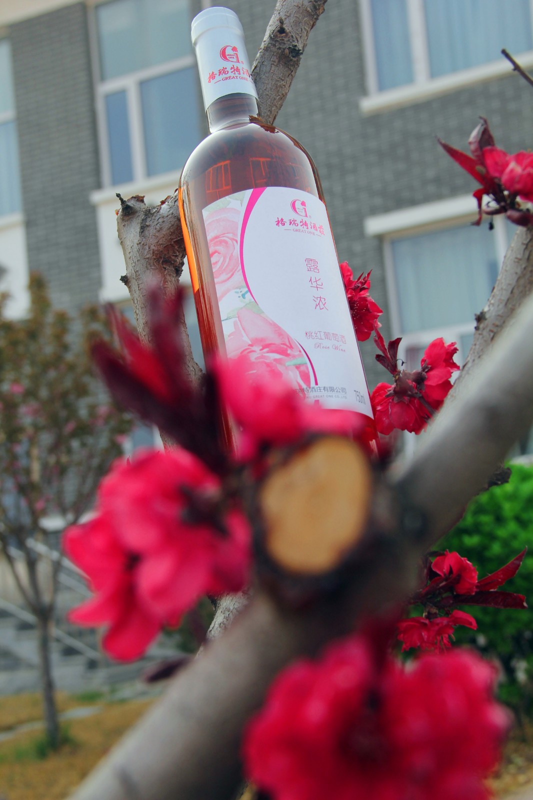 15711902344796.jpg 6.jpg