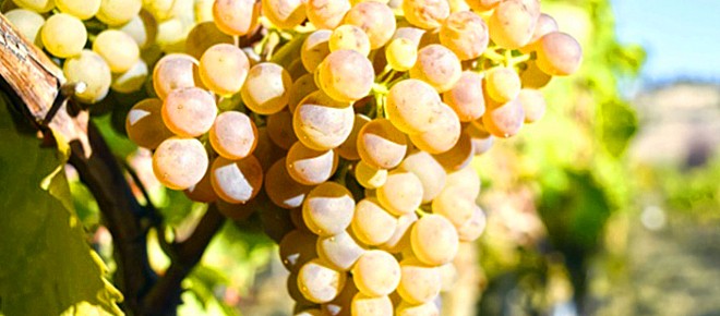 15742305387608.jpg 5b0d0db2Nfe1a2622.jpg