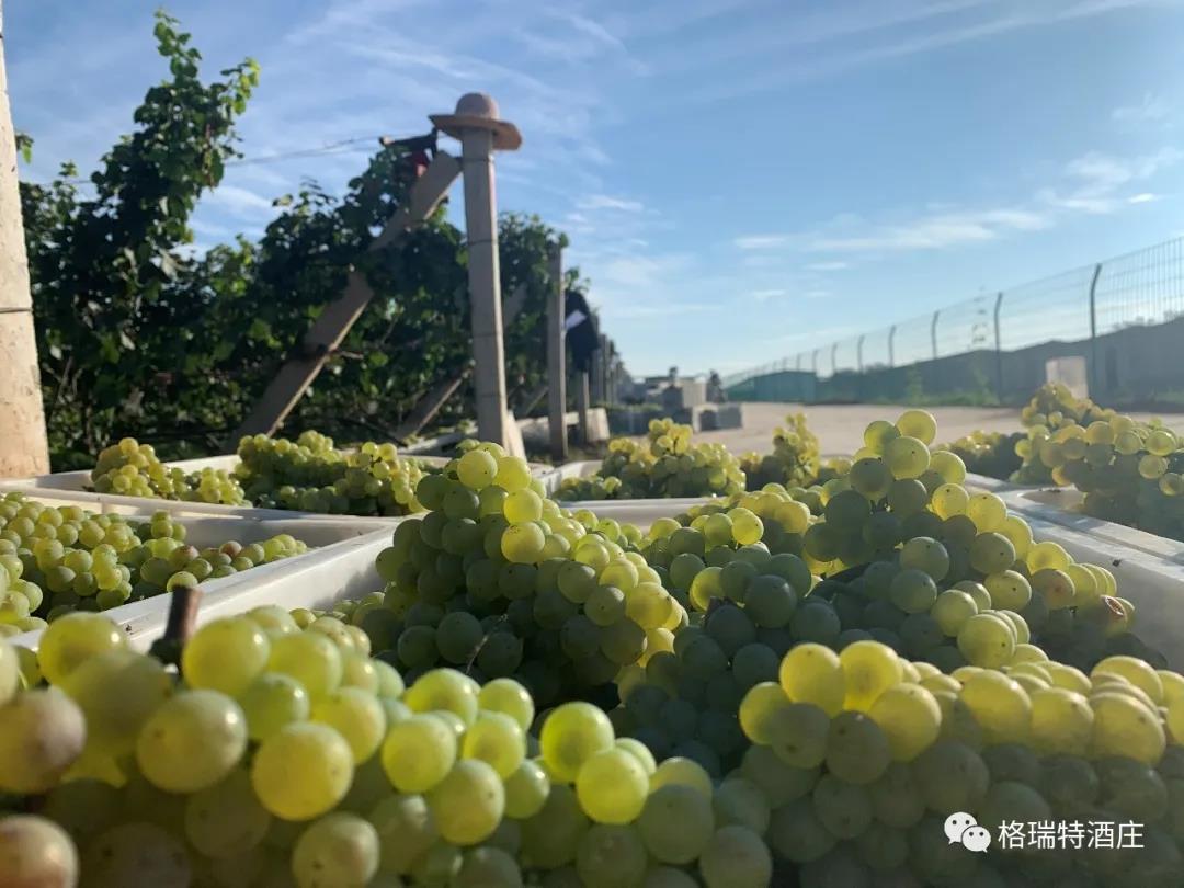 16006591119175.jpg 1.jpg