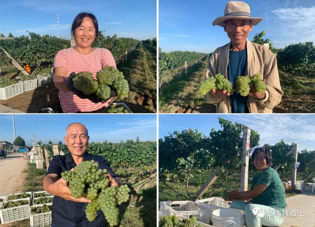 16006591763703.jpg 4.jpg