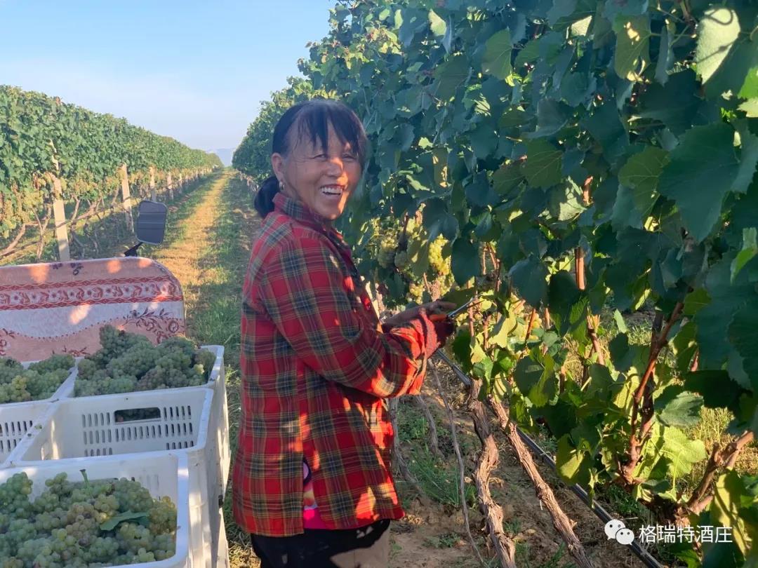 16006593616707.jpg 15.jpg