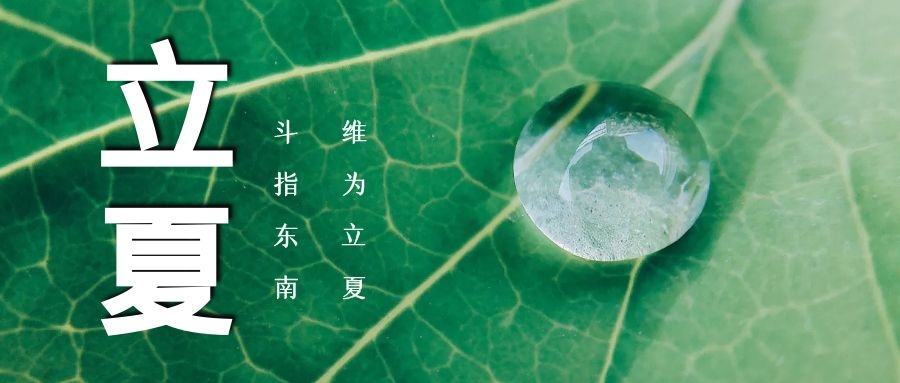 立夏 ▏綠蔭濃，夏日長